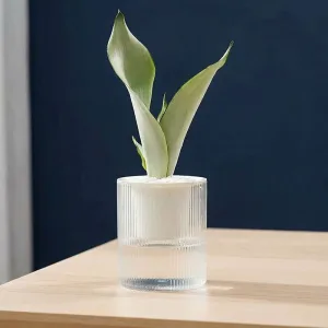 self watering flowerpot, flower pots with water reservoir, bottom watering flower pots
