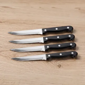 4-delige set steakmessen van roestvrij staal