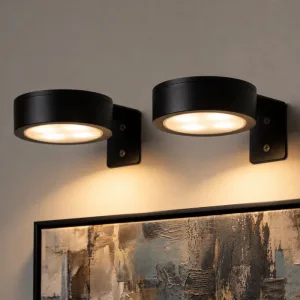 battery operated picture light, magnetic picture light, picture lamp, battery operated art light